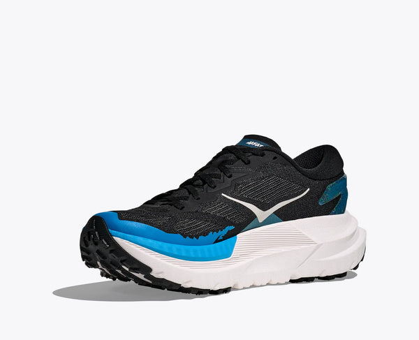 Black and blue running shoe on a white background