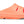 Coral slide on a white background