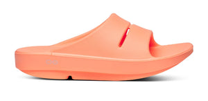 Coral slide on a white background