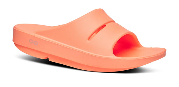 Coral slide on a white background