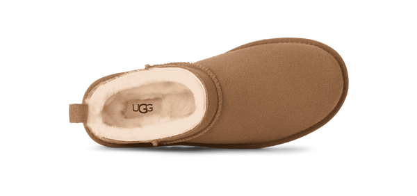 Brown UGG boot on a green background