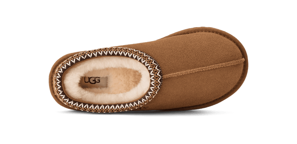 Brown UGG slipper with brand logo on a green background